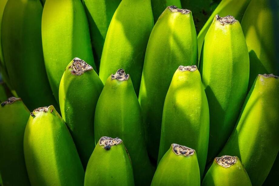 Boost Your Immune System With Green Bananas