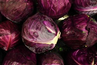 13 Surprising Ways Purple Cabbage Can Boost Your Well Being