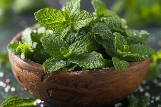 Unlock The Secrets Of Mint: Enhancing Cognitive Function And Immune System