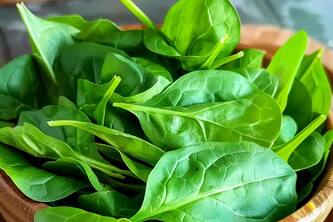 Unlock The Health Secrets Of Sorrel Leaves For A Better Life