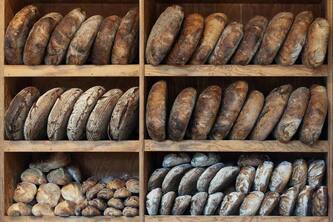 10 Reasons Why Eating Rotten Bread Is Extremely Hazardous