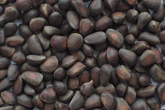 Top Health Benefits Of Cedar Nuts