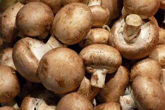 Top 10 Amazing Benefits Of Mushrooms