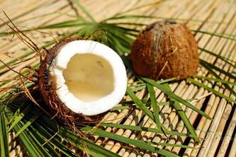 Surprising Benefits Of Coconut Shells You Never Knew Existed