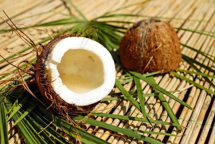 Discover The Miraculous Health Benefits Of Coconut Shell Powder