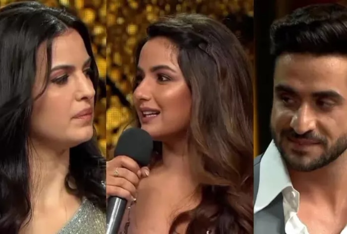 When Jasmin Bhasin Confessed Her Love for Aly Goni in Front of Natasa Stankovic, Watch Throwback Video