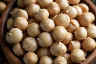 Uncover The Top 13 Astonishing Benefits Of Macadamia Nuts For Your Health