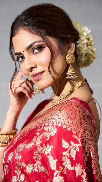 Malavika Mohanan Inspired Elegant Silk Saree For Wedding Functions