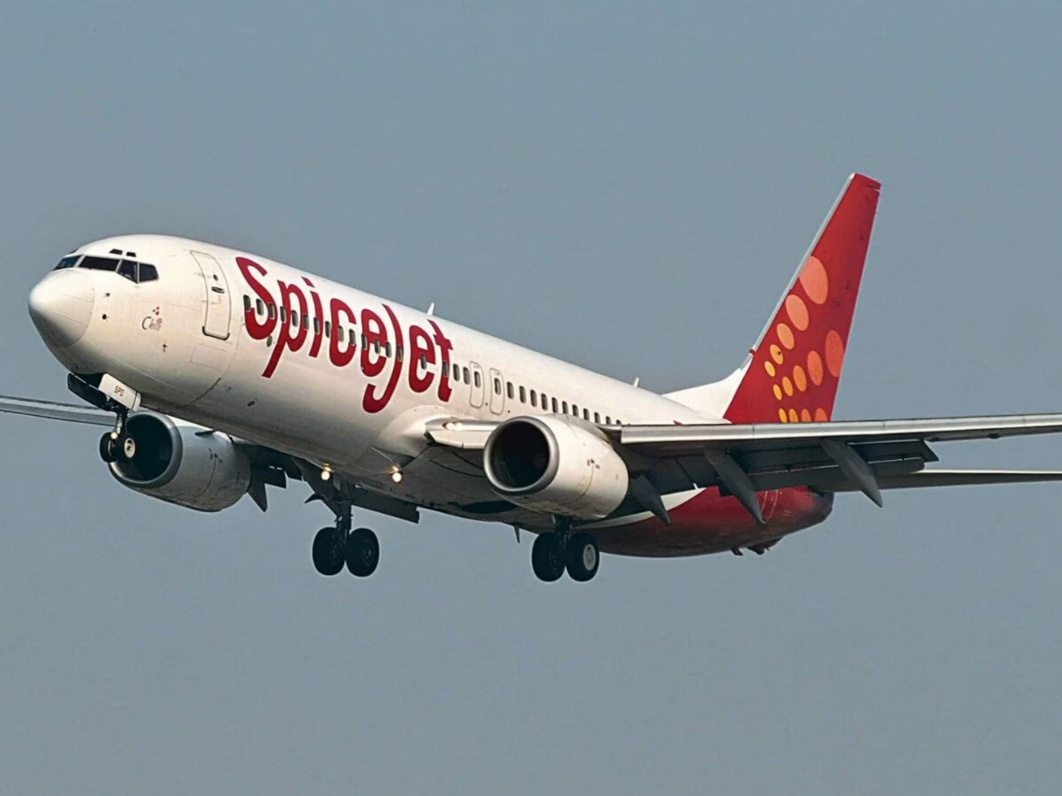 Share market News: SpiceJet shares gain around 8 percent