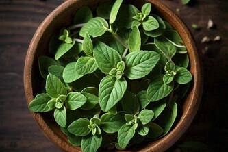 Discover 11 Surprising Benefits Of Oregano You Never Knew Before