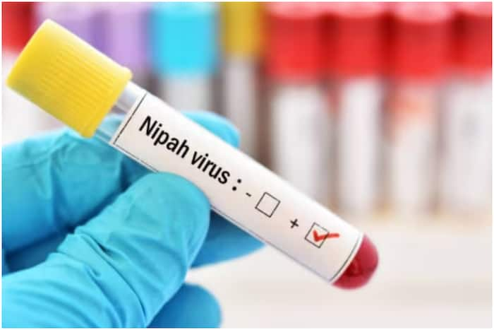 Nipah Virus, Bat Samples, Malappuram District, Kerala, Thiruvananthapuram, Nipah, virus, Pandikkad, infection, antibodies, Kozhikode