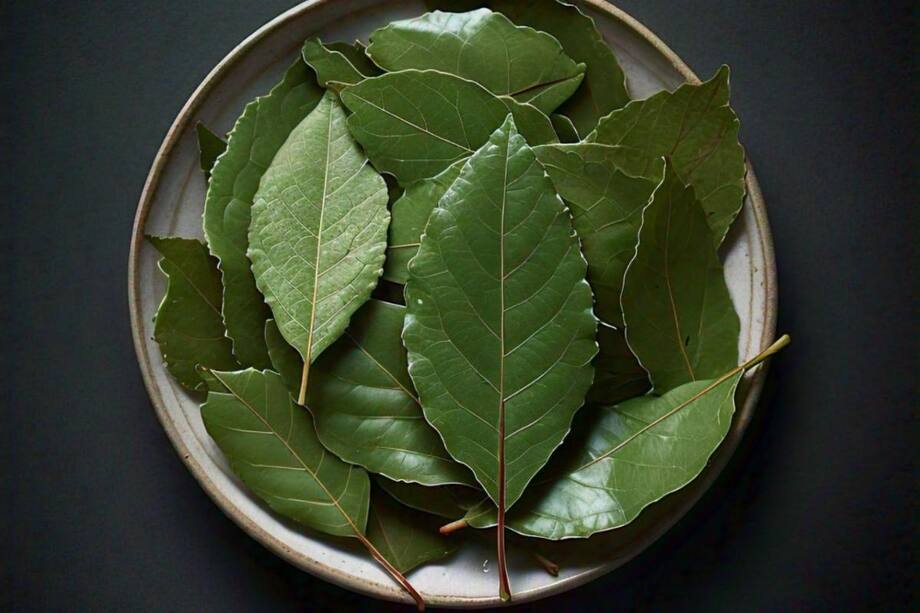 Discover The Top 10 Surprising Health Benefits Of Bay Leaves