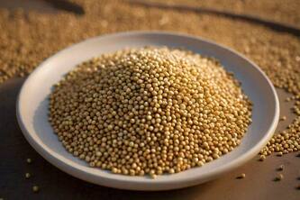 10 Reasons Why Millet Should Be Your New Superfood Obsession