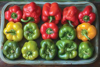 Discover 10 Surprising Health Benefits Of Consuming Bell Peppers
