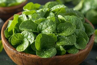 Top Benefits Of Mache For Optimal Health