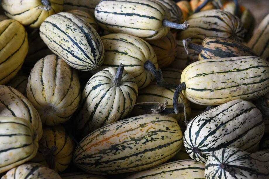 How Pumpkins Can Transform Your Eye Health And Boost Your Mood