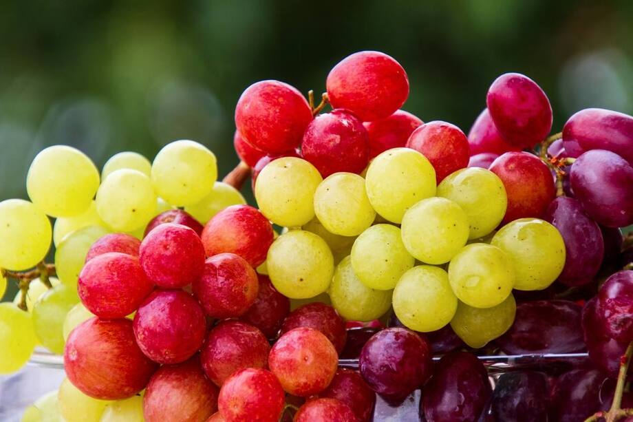 Unlock The Secrets Of Green Grapes For Better Digestion