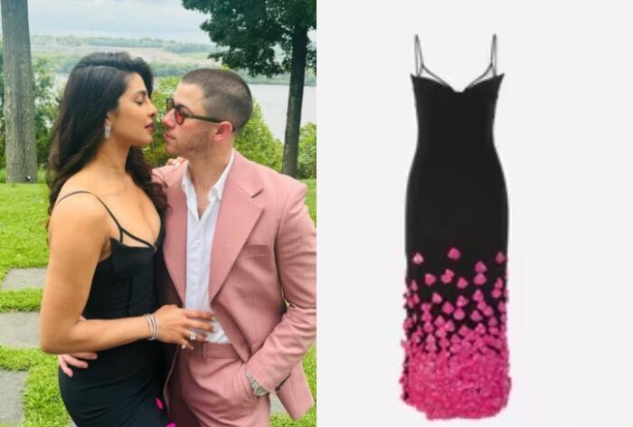 Priyanka Chopra Looks Like a Million Bucks in Rs 2.67 Lakh David Koma Black Cut-Out Dress With 3-D Petals- See Pics