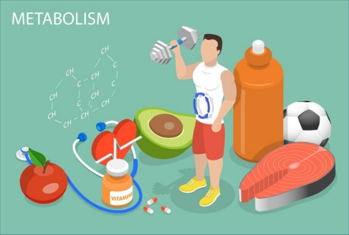 Why is Your Metabolism Slowing Down Day by Day?