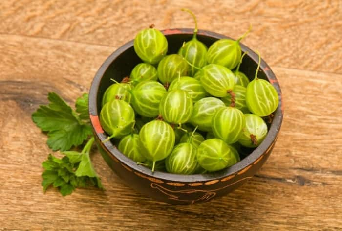 Amla or Indian gooseberry has several health benefits (Freepik)