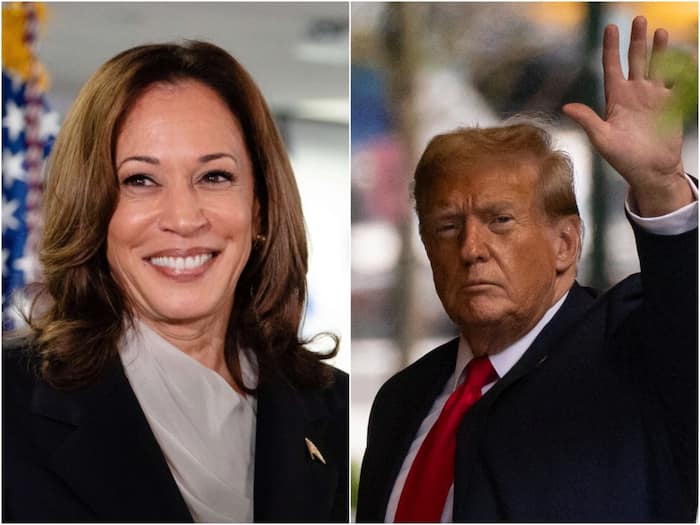 White House will 'smell like curry' if...: Trump ally mocks Kamala Harris' Indian heritage in racist post, triggers outrage