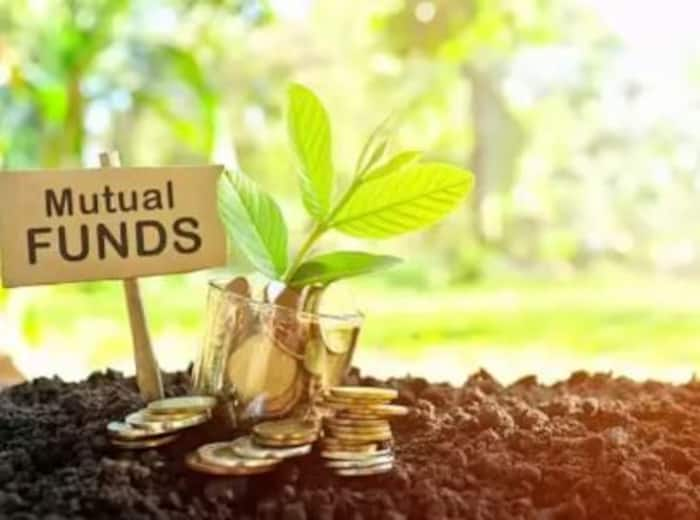 Mutual Fund Investment: how to build Rs 7.43 crore corpus with Rs 5,000 monthly SIP; check calculation