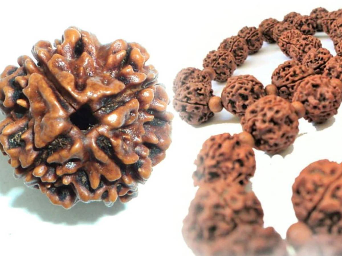 Kodo Raksha Rudraksha Rules: रुद्राक्ष पहनकर गलती से भी इन 5 जगहों पर न जाएं, फायदे ...