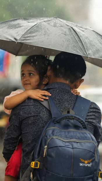Telangana Weather Update: IMD Predicts Showers in THESE Districts