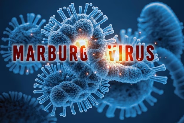 Marburg virus outbreak: 6 died in Rwanda, what is this deadly infection? Should India be concerned?