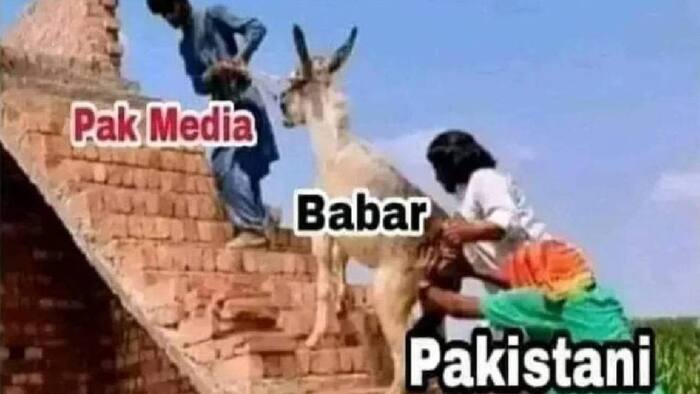 Ban beat pak