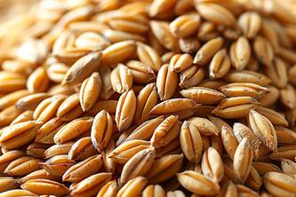 Discover The Incredible Health Benefits Of Barley: Rich In Nutrients And Fiber