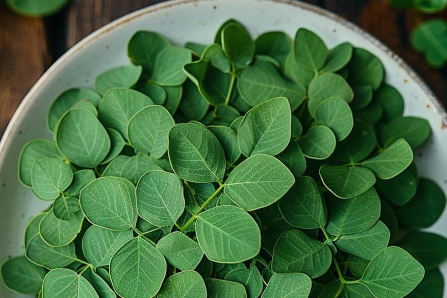 Discover 10 Amazing Benefits Of Adding Moringa Leaves To Your Diet