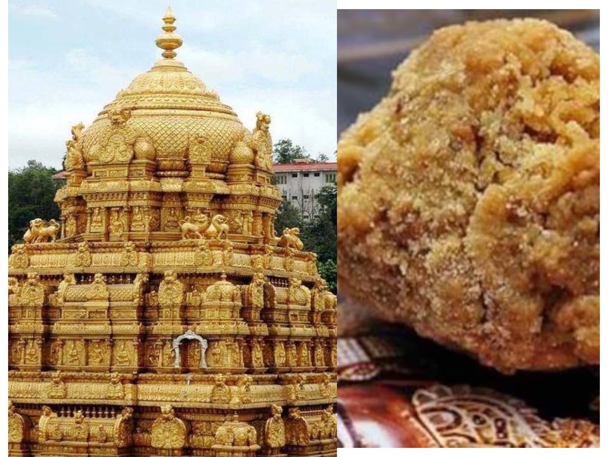 Tirupati Laddus Row: Who is AR Dairy's owner in centre of all ...