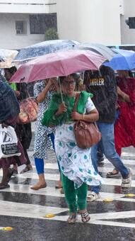 Bengaluru City Weather Sep 10: Rain Or No Rain? Check Week Long Forecast
