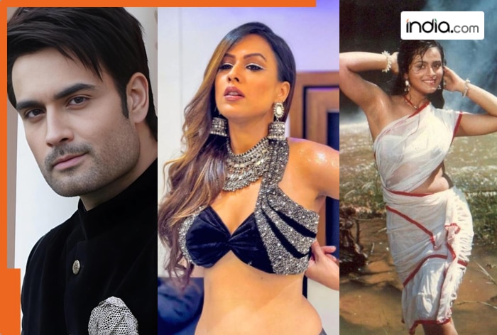 Nia Sharma, Vivian Dsena, Shilpa Shirodkar, here’s a full list of confirmed contestants for Salman Khan’s reality show