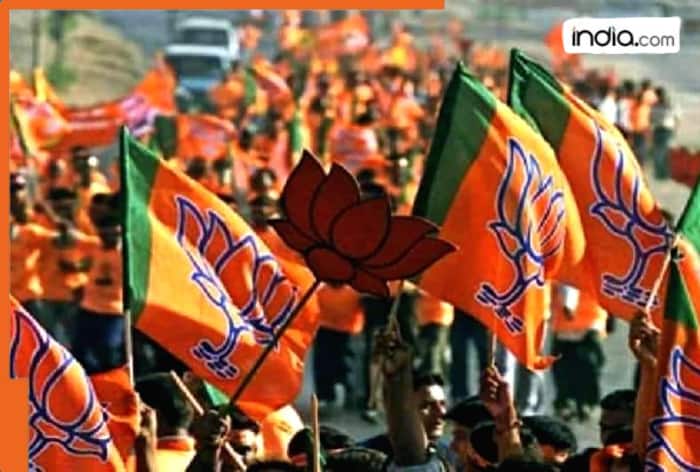 Maharashtra municipal corporation election results: What factors led to BJP’s massive victory in 2026?