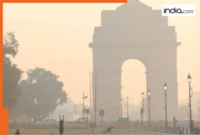 Delhi air quality remains in 'Very Poor' category; city wakes to layer ...