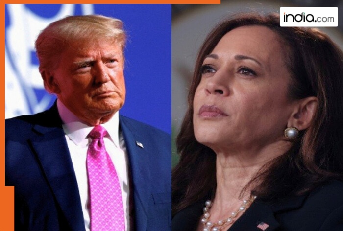 Can Trump Defeat Kamala Harris? Betting markets have already picked their President, check predictions