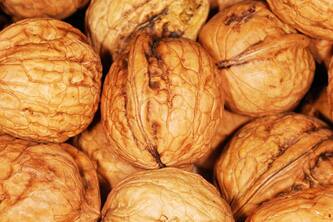 Discover How Walnuts Boost Immunity This Winter