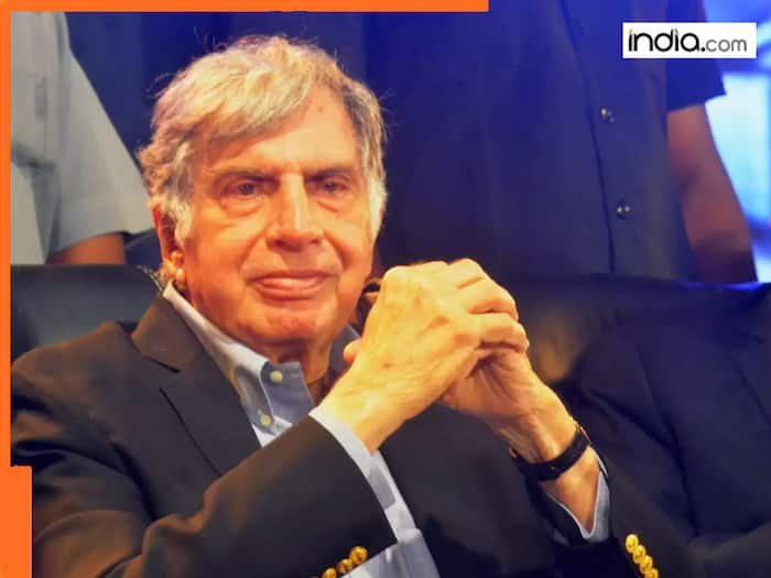 Ratan Tata news: How Titan became crown jewel of Tata Group? Has special connection with Tamil Nadu as it owns...