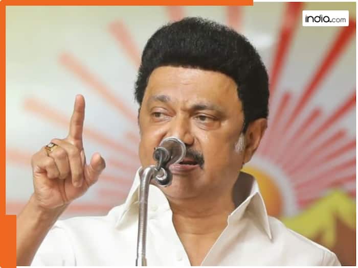 'I believe you too will soon learn': How former Tamil Nadu CM Stalin wished Vijay on becoming new CM