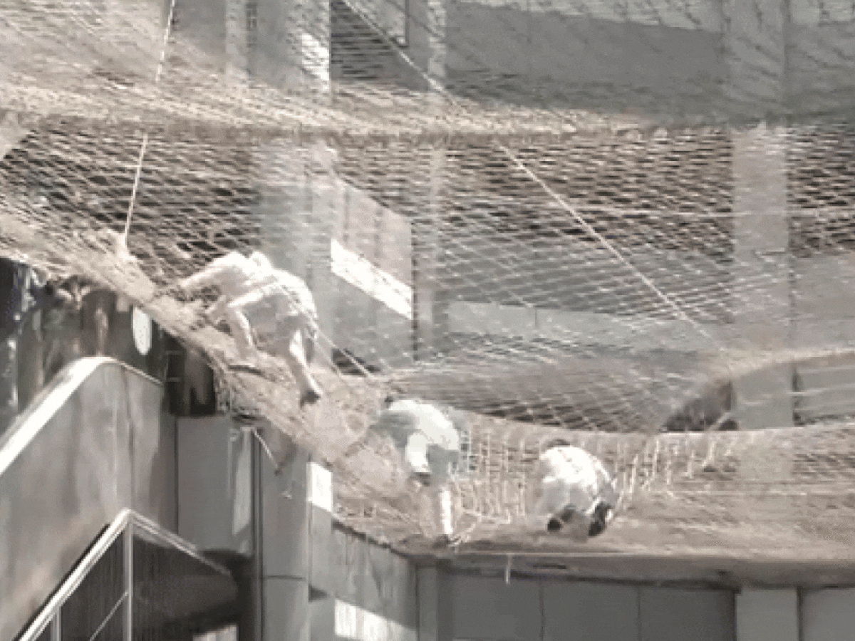 मंत्रालय की तीसरी मंजिल से डिप्टी स्पीकर ने लगा दी छलांग, जाल बना 'सुरक्षा कवच' नहीं तो... | देखें VIDEO