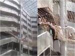 Watch: Maharashtra Deputy Speaker Narhari Zirwal jumps from 3rd floor of Mantralaya, lands on safety net