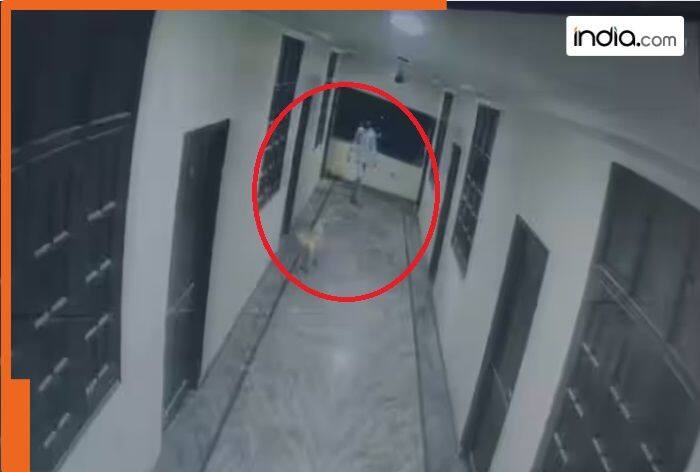 Hyderabad student chasing fog loses balance, falls to death from 3rd floor of hotel, accident caught on CCTV