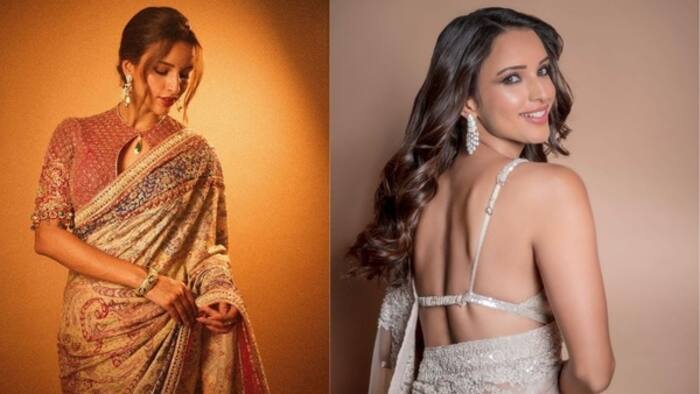 Triptidimrisare1 1726829832