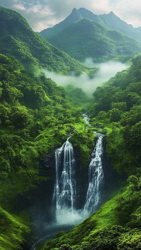 Western Ghats (Agasthyamalai & Periyar Clusters) Image 2