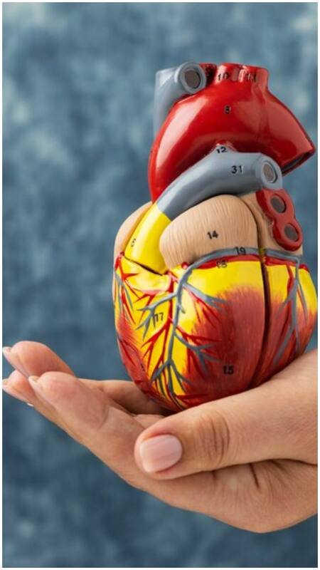 Colesterol alto por la noche: 5 superalimentos para destapar las arterias y  controlar los niveles de LDL