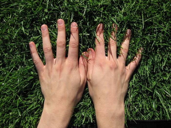 Samudrik Shastra About Finger  5