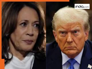 US Presidential Elections 2024: Voting underway in swing state of Georgia; Here's what to expect