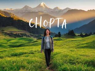 Solo Traveler's Guide For Fun Adventures In Chopta Of Uttarakhand